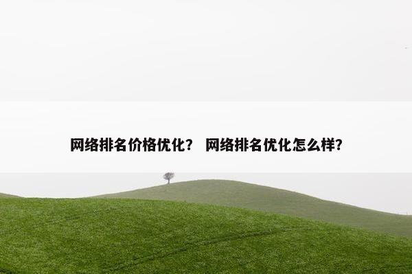 网络排名价格优化？ 网络排名优化怎么样？