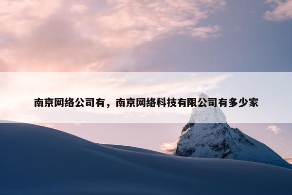 南京网络公司有，南京网络科技有限公司有多少家