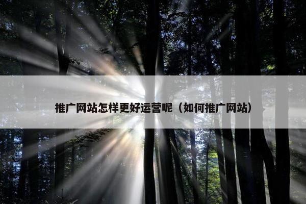 推广网站怎样更好运营呢（如何推广网站）