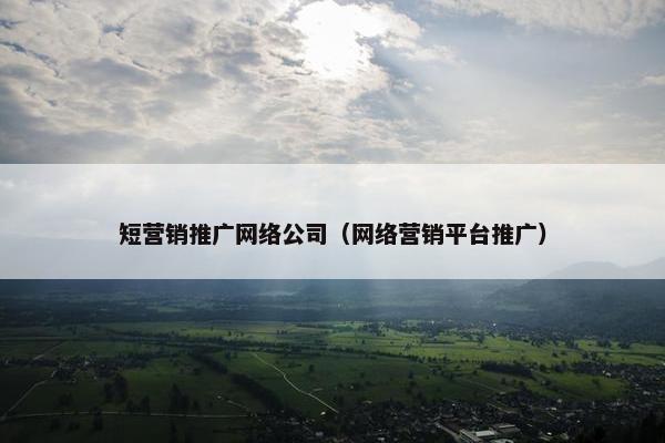 短营销推广网络公司（网络营销平台推广）