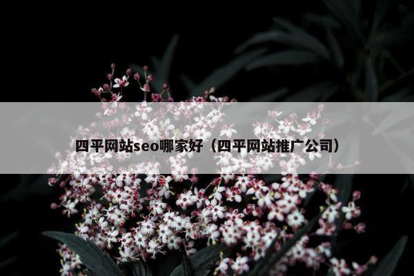 四平网站seo哪家好（四平网站推广公司）