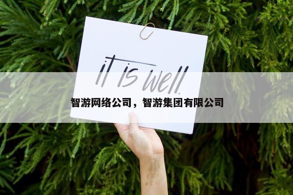 智游网络公司，智游集团有限公司