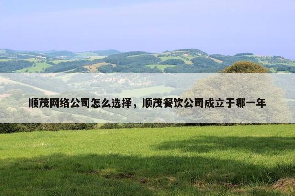 顺茂网络公司怎么选择，顺茂餐饮公司成立于哪一年