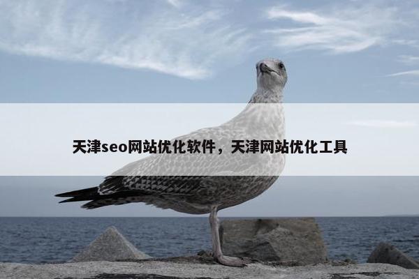 天津seo网站优化软件，天津网站优化工具
