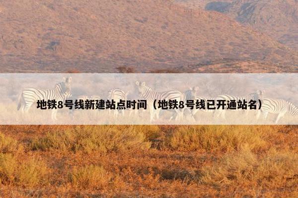 地铁8号线新建站点时间（地铁8号线已开通站名）
