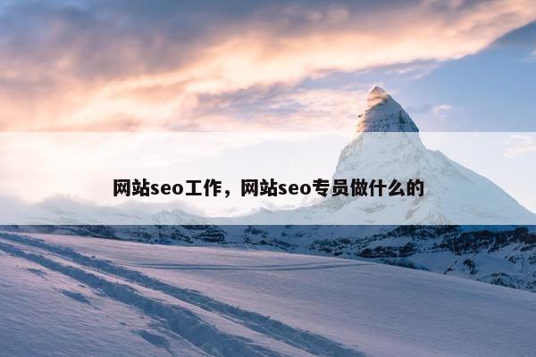 网站seo工作，网站seo专员做什么的