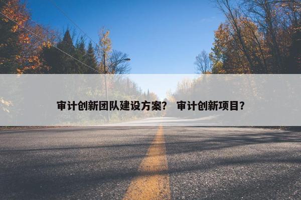 审计创新团队建设方案？ 审计创新项目？