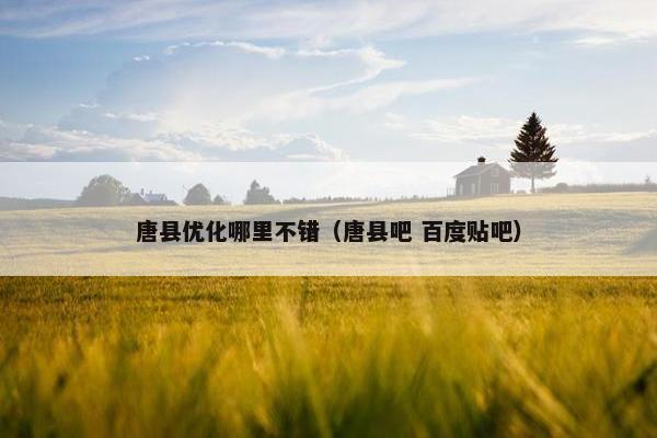 唐县优化哪里不错（唐县吧 百度贴吧）