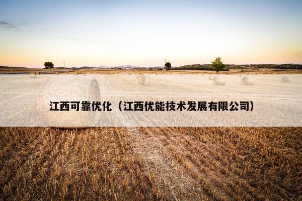 江西可靠优化（江西优能技术发展有限公司）