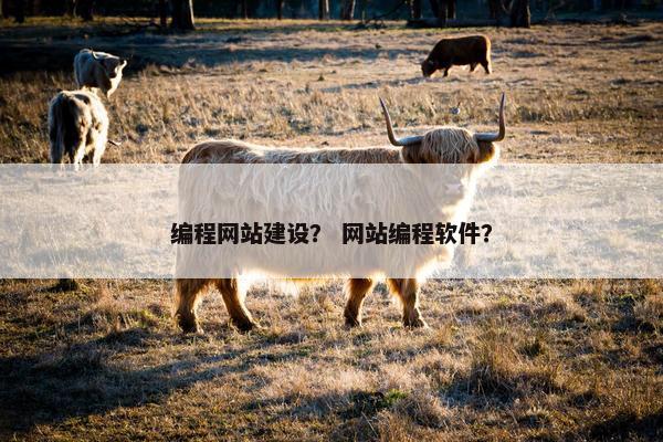 编程网站建设？ 网站编程软件？