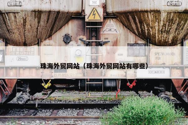 珠海外贸网站（珠海外贸网站有哪些）