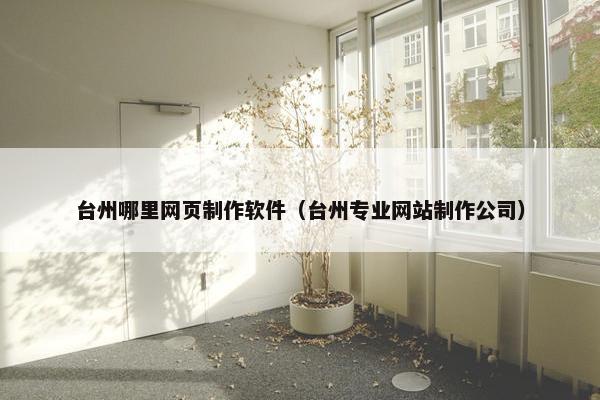 台州哪里网页制作软件（台州专业网站制作公司）