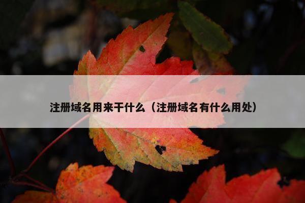 注册域名用来干什么（注册域名有什么用处）