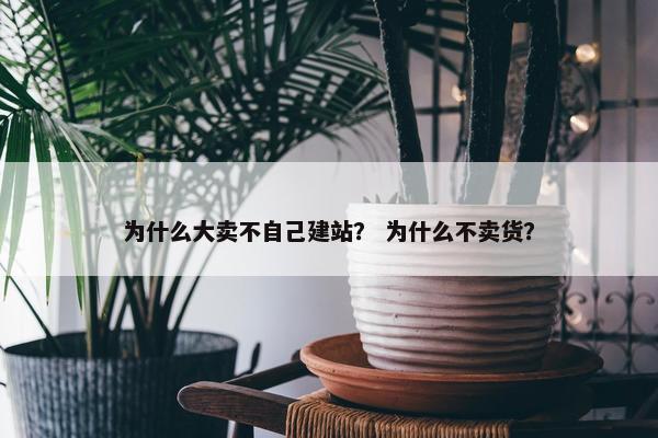为什么大卖不自己建站？ 为什么不卖货？