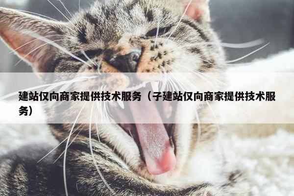 建站仅向商家提供技术服务（子建站仅向商家提供技术服务）