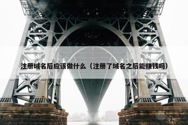 注册域名后应该做什么（注册了域名之后能赚钱吗）