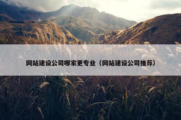 网站建设公司哪家更专业（网站建设公司推荐）