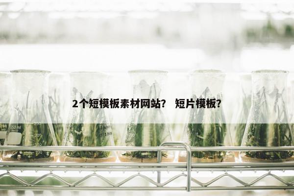2个短模板素材网站？ 短片模板？
