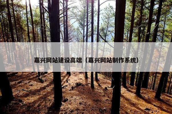 嘉兴网站建设高端（嘉兴网站制作系统）