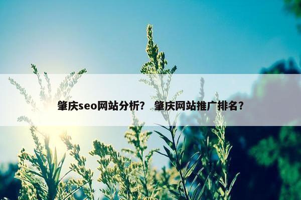 肇庆seo网站分析？ 肇庆网站推广排名？