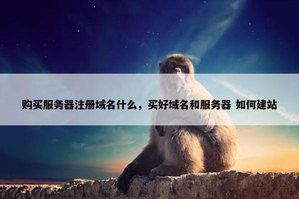 购买服务器注册域名什么，买好域名和服务器 如何建站