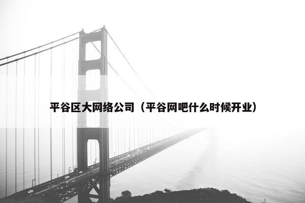 平谷区大网络公司（平谷网吧什么时候开业）
