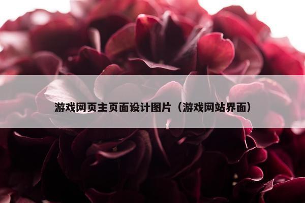 游戏网页主页面设计图片（游戏网站界面）