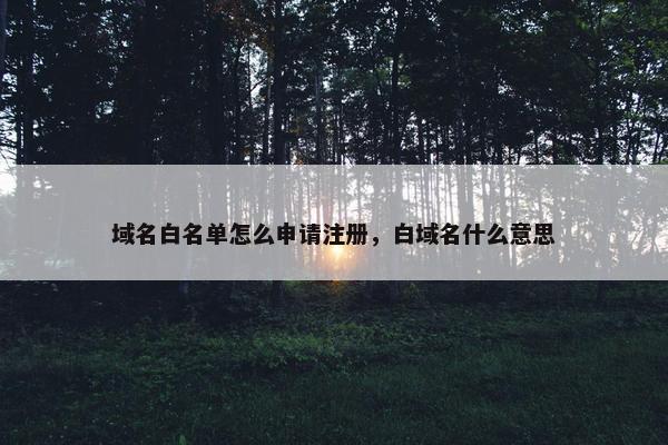 域名白名单怎么申请注册，白域名什么意思