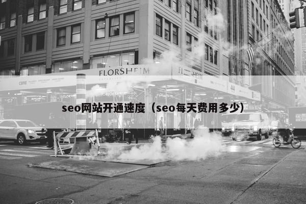 seo网站开通速度（seo每天费用多少）