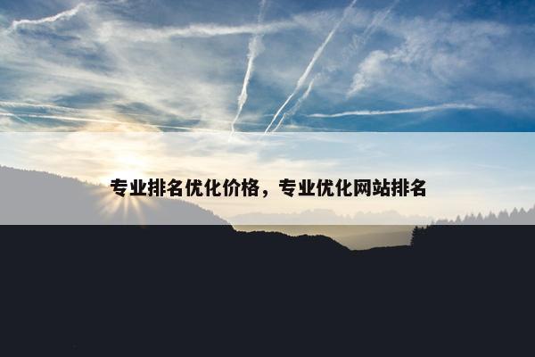 专业排名优化价格，专业优化网站排名