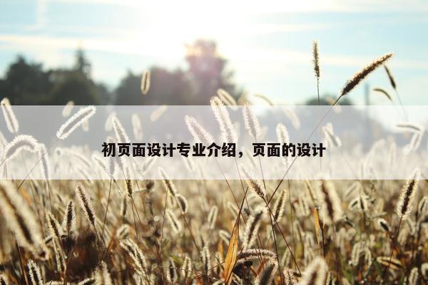 初页面设计专业介绍，页面的设计