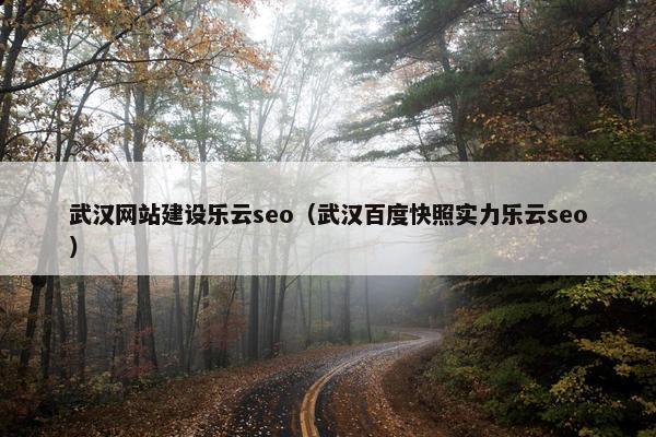 武汉网站建设乐云seo（武汉百度快照实力乐云seo）
