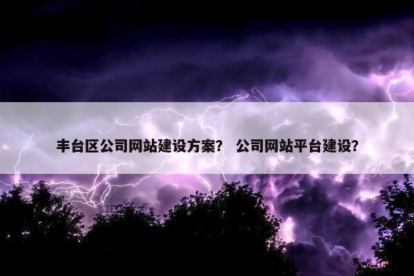 丰台区公司网站建设方案？ 公司网站平台建设？