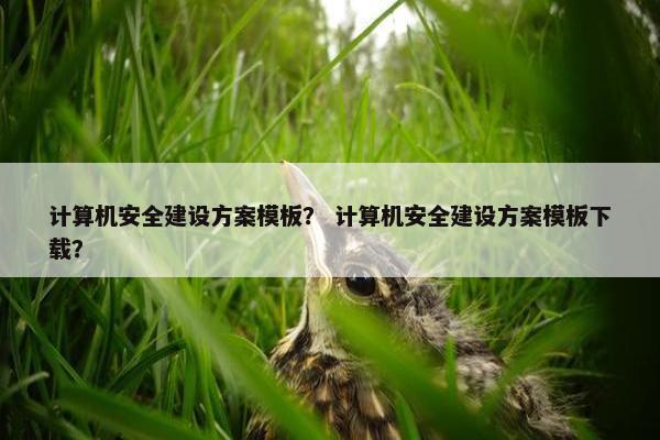 计算机安全建设方案模板？ 计算机安全建设方案模板下载？
