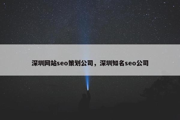 深圳网站seo策划公司，深圳知名seo公司