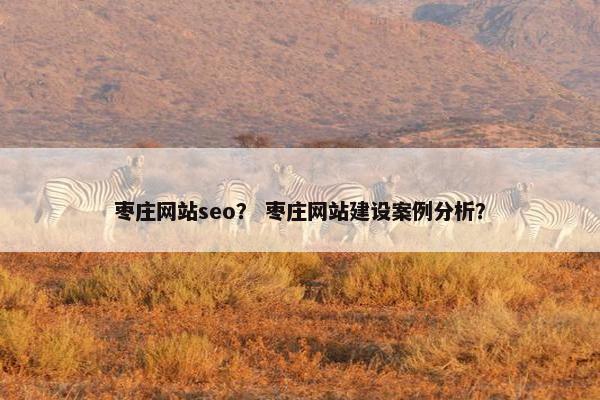 枣庄网站seo？ 枣庄网站建设案例分析？