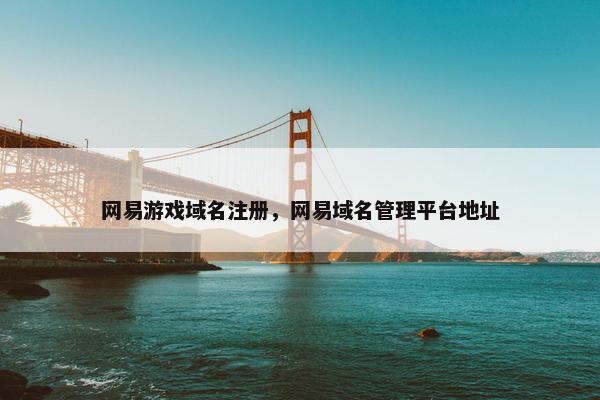 网易游戏域名注册，网易域名管理平台地址