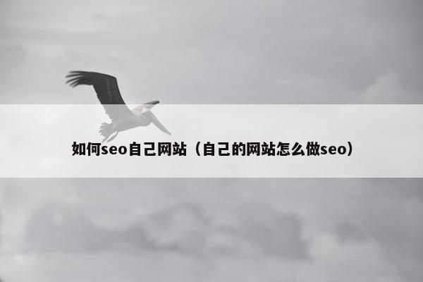 如何seo自己网站（自己的网站怎么做seo）