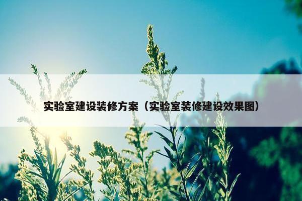 实验室建设装修方案（实验室装修建设效果图）