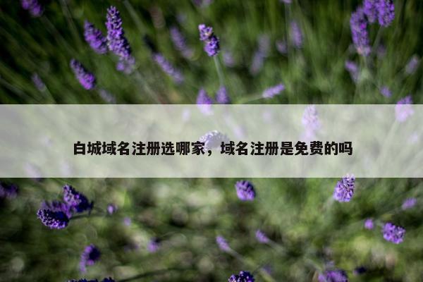 白城域名注册选哪家，域名注册是免费的吗