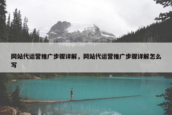 网站代运营推广步骤详解，网站代运营推广步骤详解怎么写