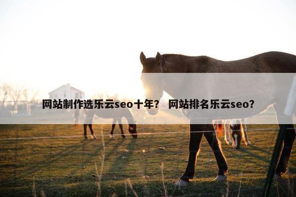 网站制作选乐云seo十年？ 网站排名乐云seo？