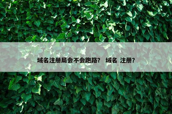 域名注册局会不会跑路？ 域名 注册？