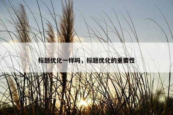 标题优化一样吗，标题优化的重要性