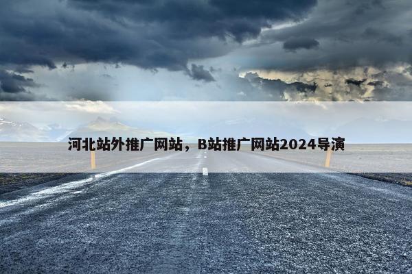 河北站外推广网站，B站推广网站2024导演