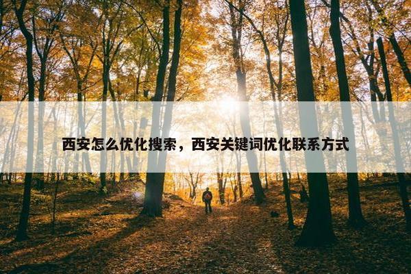 西安怎么优化搜索，西安关键词优化联系方式