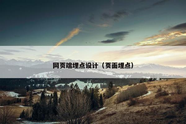 网页端埋点设计（页面埋点）