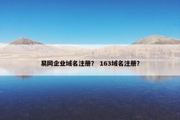 易网企业域名注册？ 163域名注册？