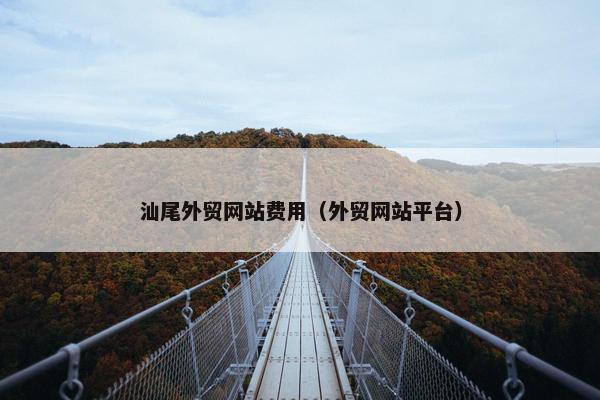汕尾外贸网站费用（外贸网站平台）