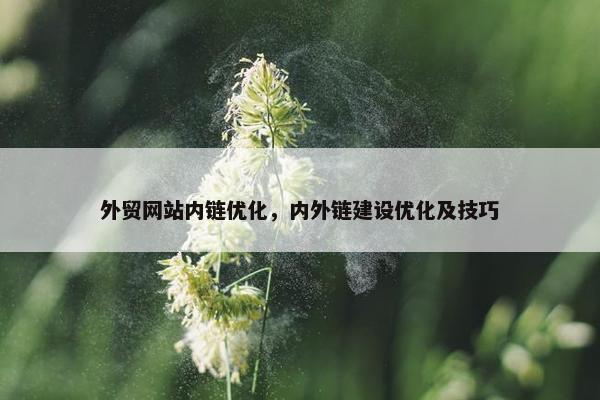 外贸网站内链优化，内外链建设优化及技巧